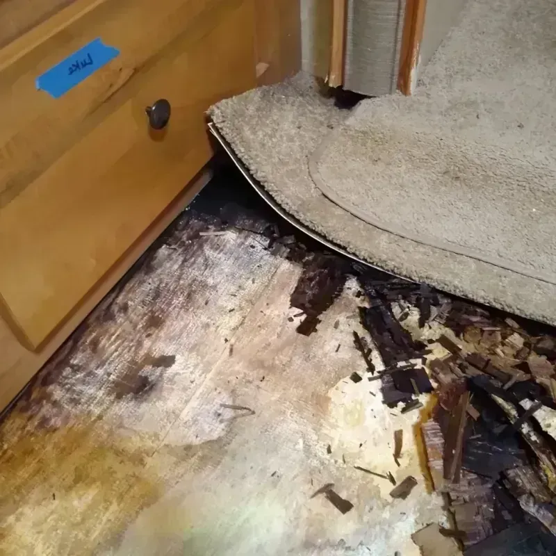 Wood Floor Water Damage in Mayo, MD